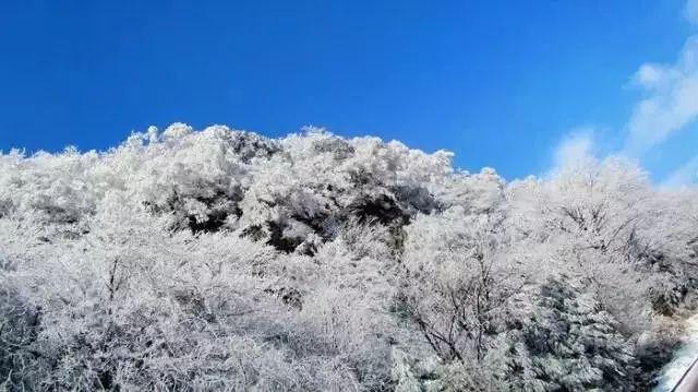 起重机卡车找不同